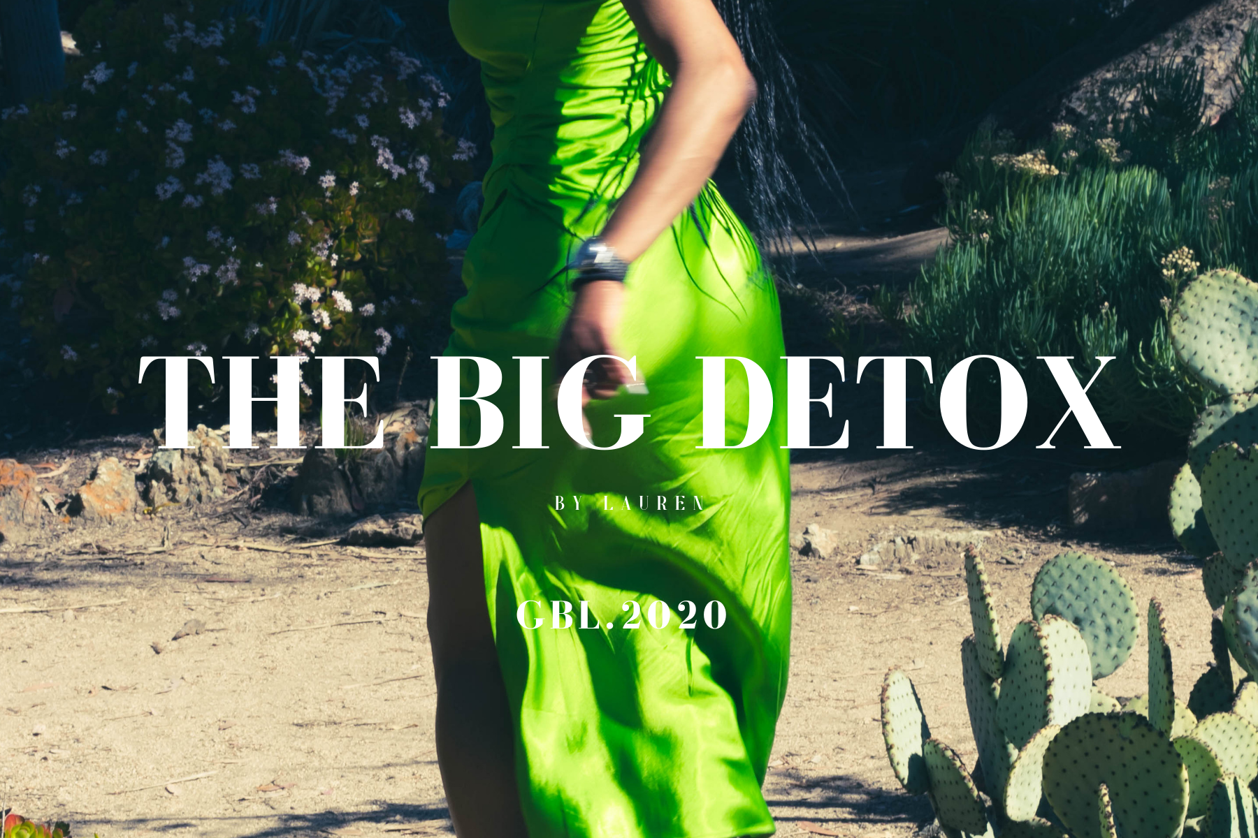 The Big Detox Lotus Plan.
